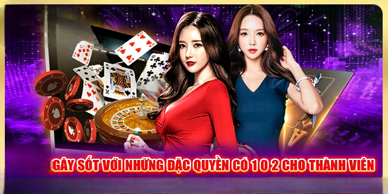 Giới Thiệu Tổng Quan Về Nhà Cái DKBET8