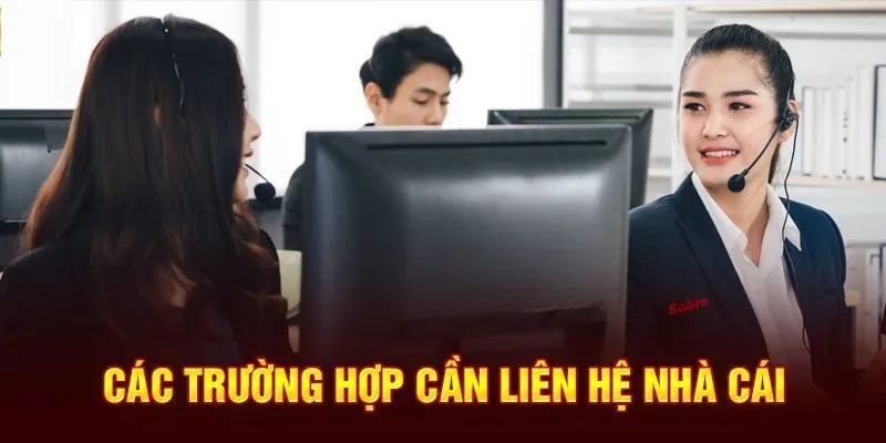 Liên Hệ DKBET8 – Cập Nhật Kênh Thông Tin CSKH 2025